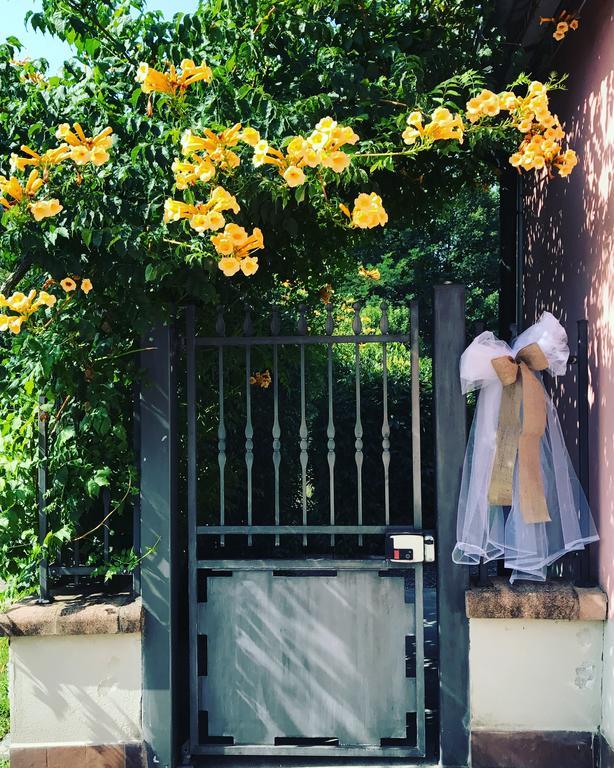 サンセポルクロ Antico Borgo De Romoliniヴィラ エクステリア 写真